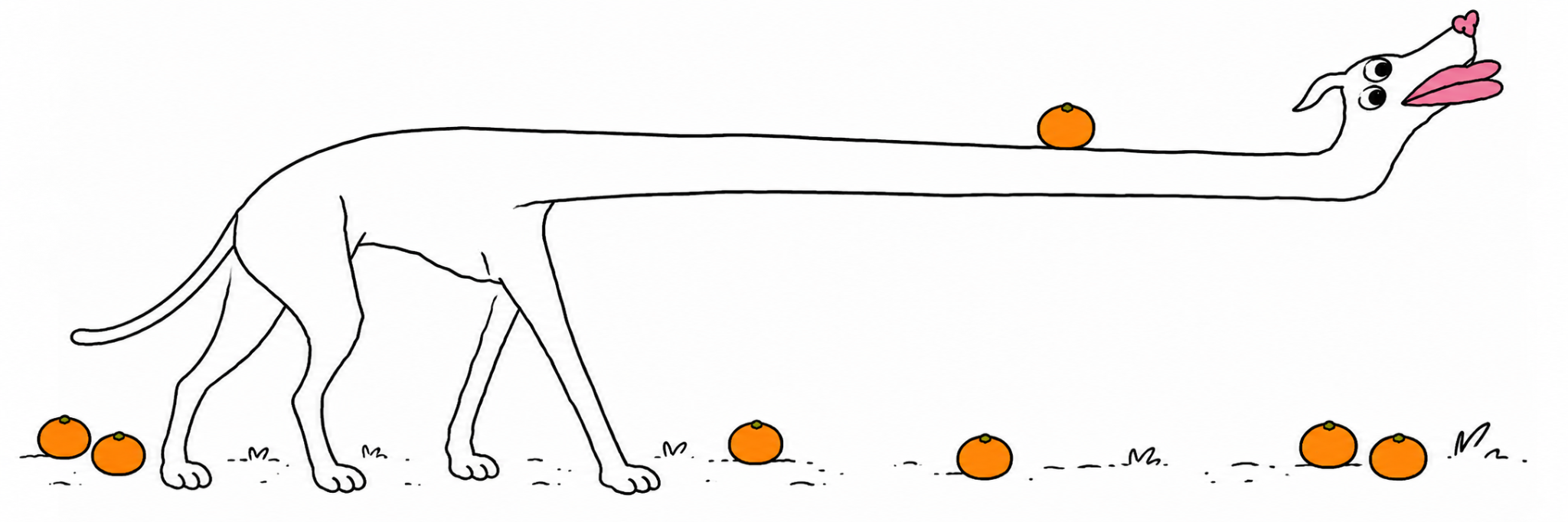 LONGDOG standing on an open field with oranges scattered along the ground